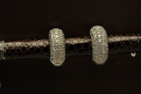 /album/galerie-de-photos-boucles-doreille/dsc0023-jpg/